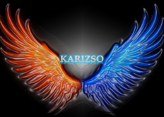 Karizso Limited